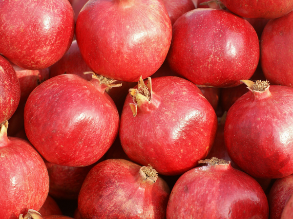 Pomegranate