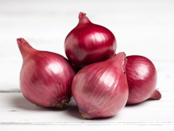 Onion